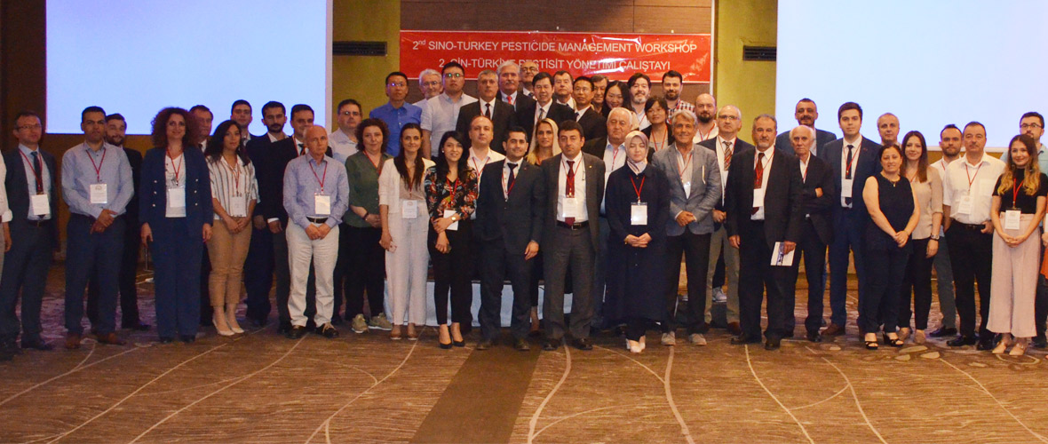 новый индейка